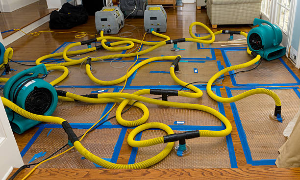 Professional Flood Damage Restoration technician working in Vail, CO
